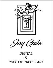 Jay Gale